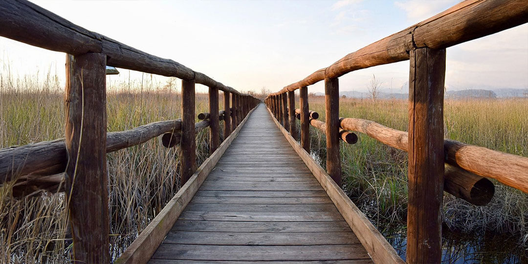 Building a bridge for new audiences to cross